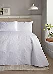 Rise & Shine Alarm Clock Mains Adaptor